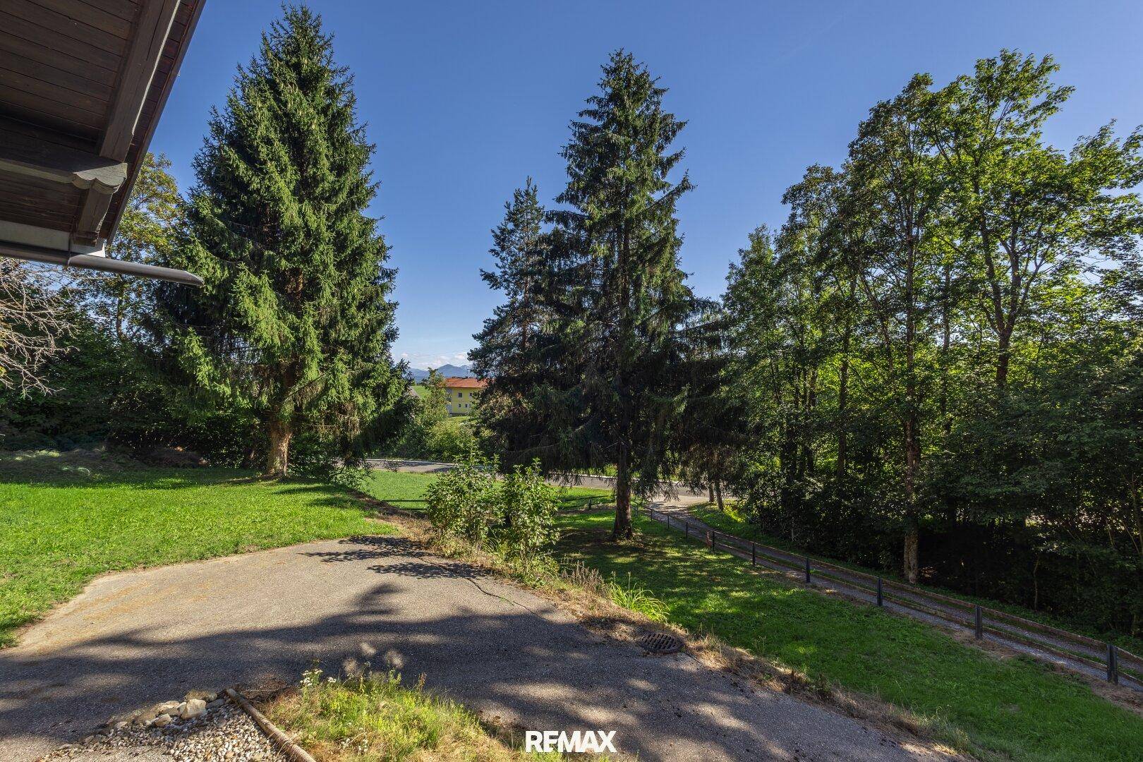 Großer Gartenbereich mit Rasenfläche, hohen Bäumen und sonnigem Grundstück.