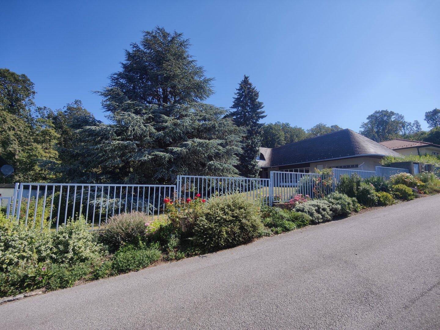 Hausansicht von der Straße mit gepflegtem Vorgarten und hohen Bäumen im Hintergrund.
