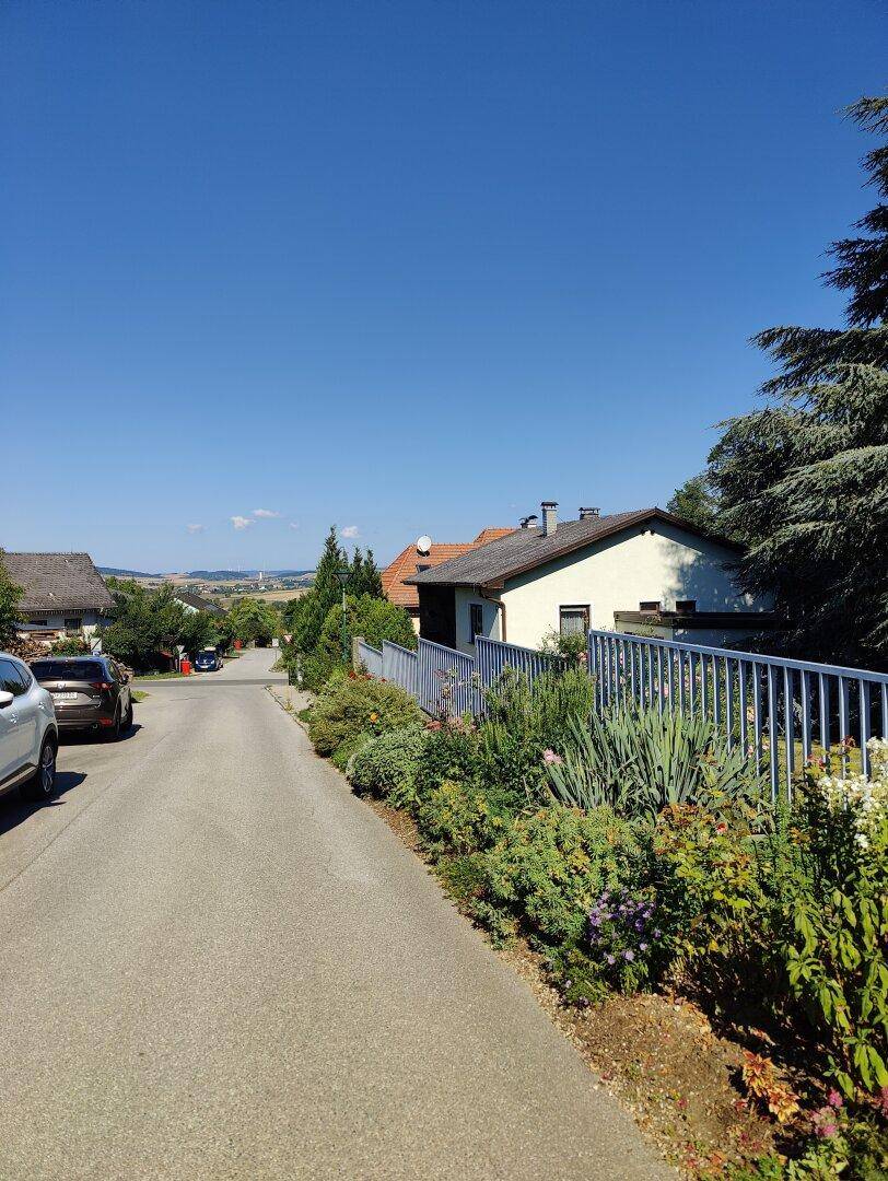 Blick auf die ruhige Wohnstraße mit weiteren Häusern und üppiger Vegetation.