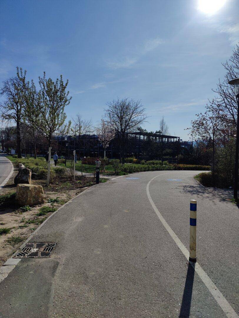Sonniger Weg mit Bäumen und Grünflächen in der Umgebung des Gebäudes.