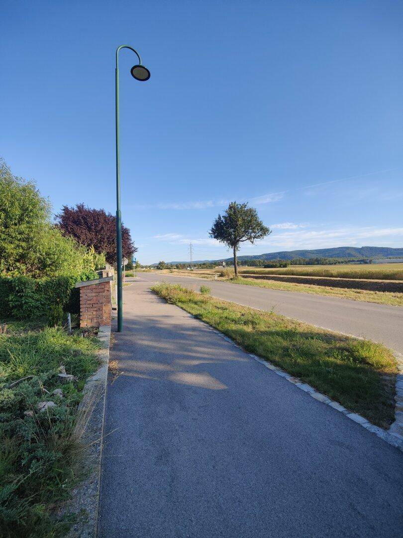 Eine ruhige Landstraße mit Gehweg und Laterne, umgeben von Feldern und Bäumen unter blauem Himmel.