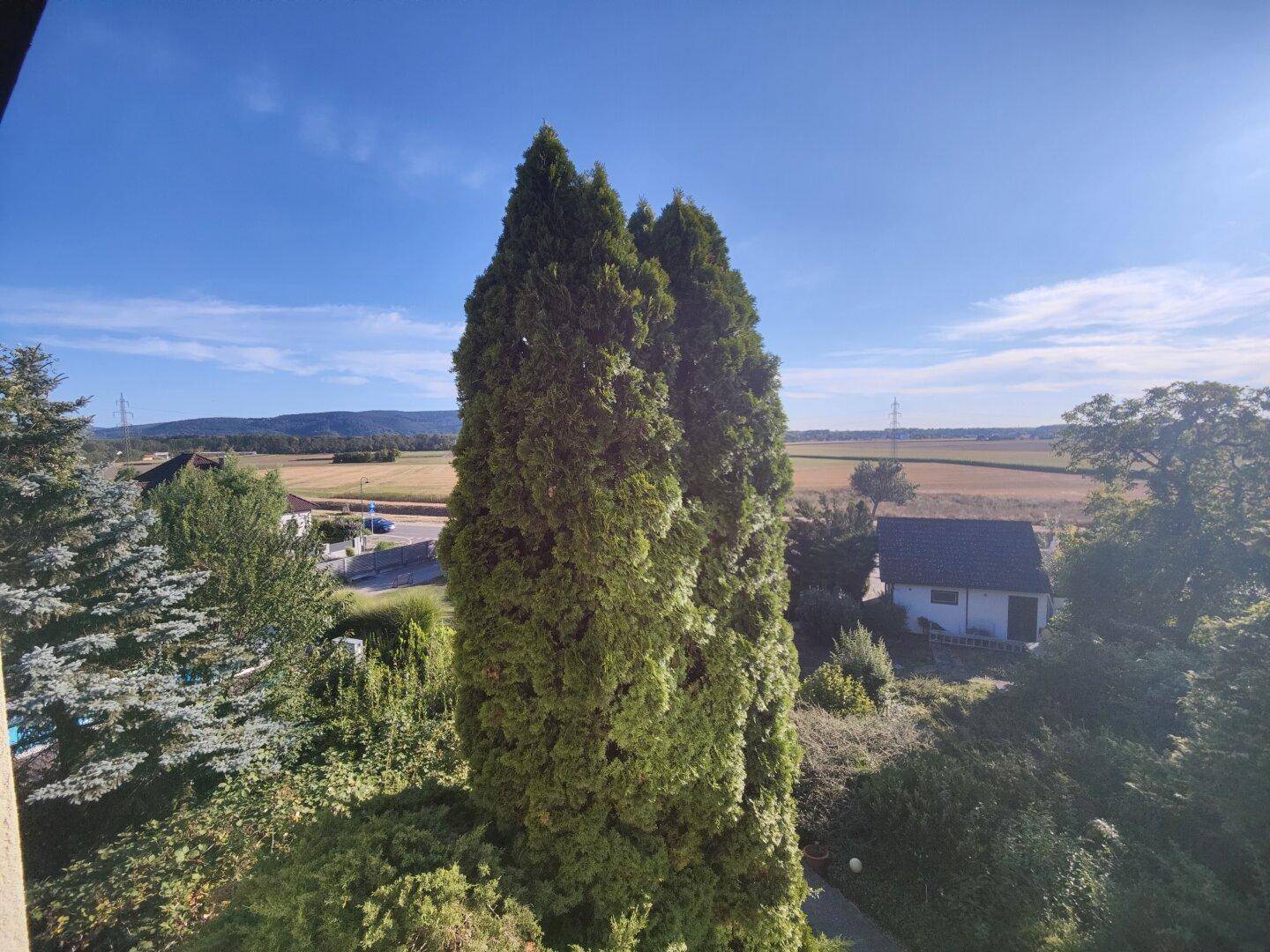 Weitläufiger Blick über grüne Felder und Bäume unter einem strahlend blauen Himmel, mit Fernsicht.