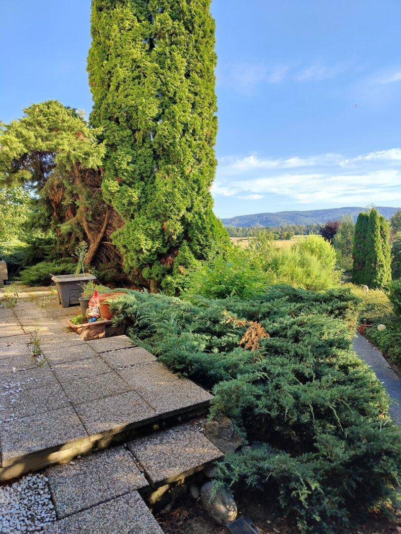 Gepflasterter Gartenbereich mit Stufen, üppigen Büschen und weitem Landschaftsblick.