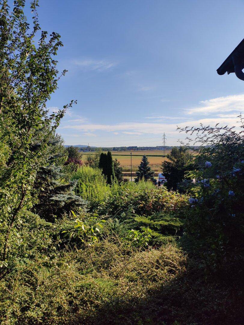 Blick durch dichte Vegetation auf weite Felder und die umliegende Landschaft.