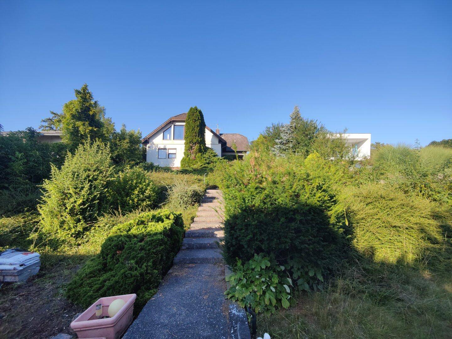 Weg führt durch üppige Bepflanzung hinauf zu einem Haus unter klarem Himmel.