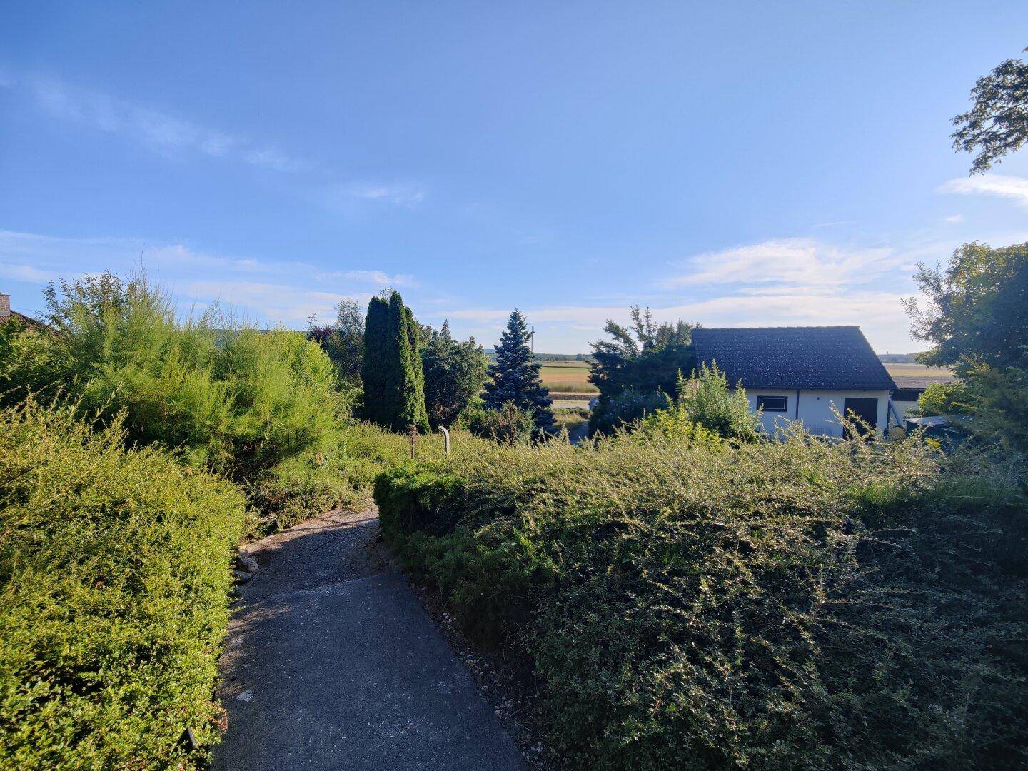 Gartenweg umgeben von dichten Hecken und Büschen, führt zu einem kleinen Gebäude.