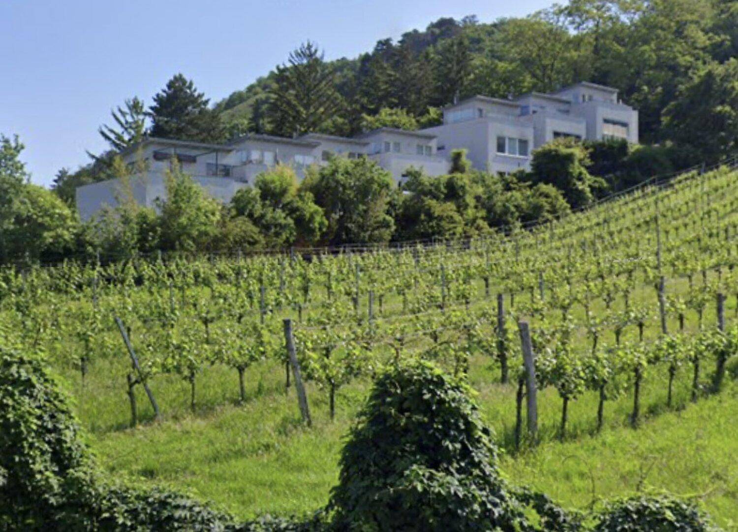 Moderne Architektur der Gebäude eingebettet in eine grüne Hügellandschaft mit Weinbergen.