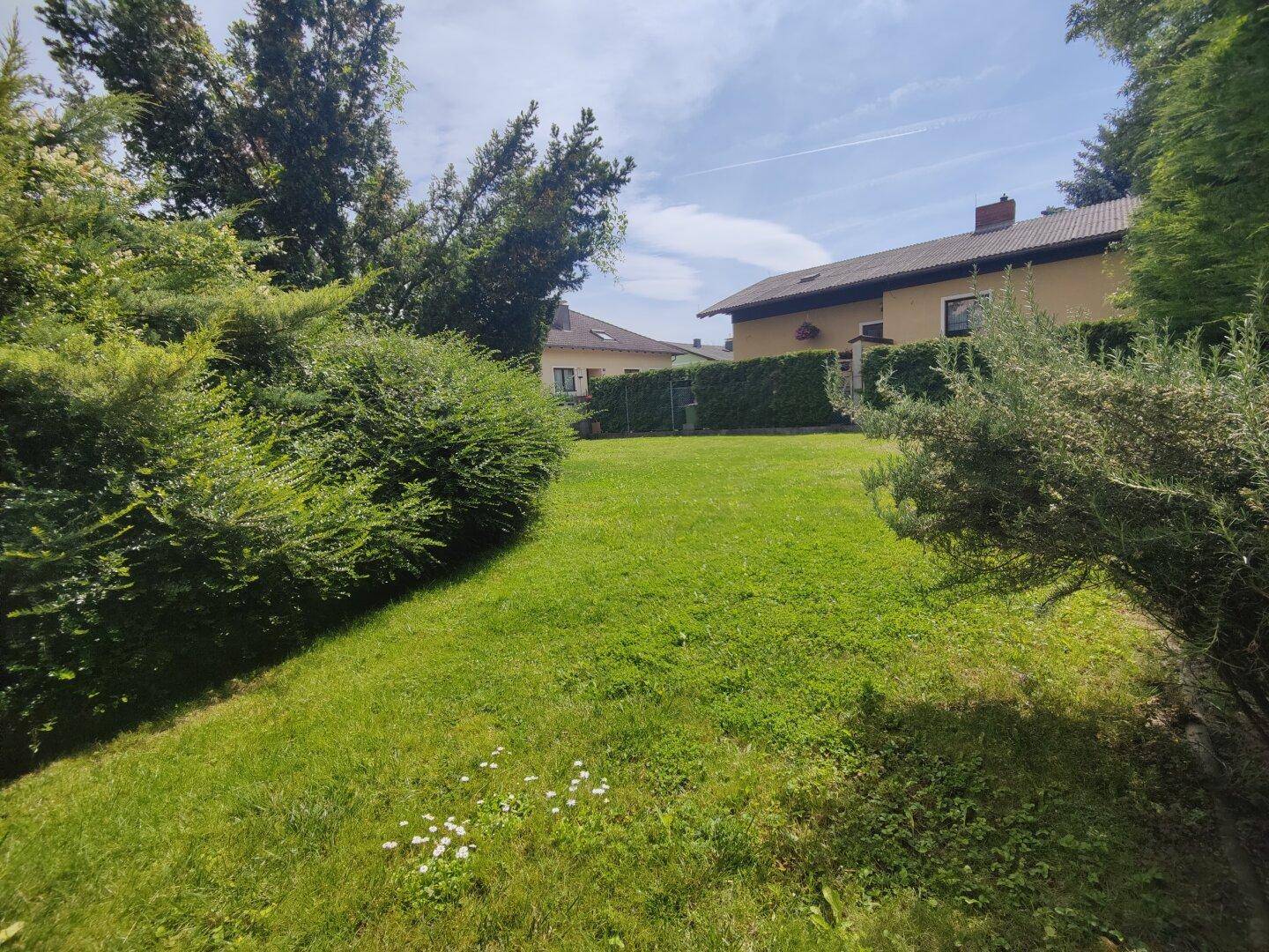 Weitläufige Rasenfläche im Garten, umgeben von hohen Hecken und Bäumen, bietet viel Privatsphäre.