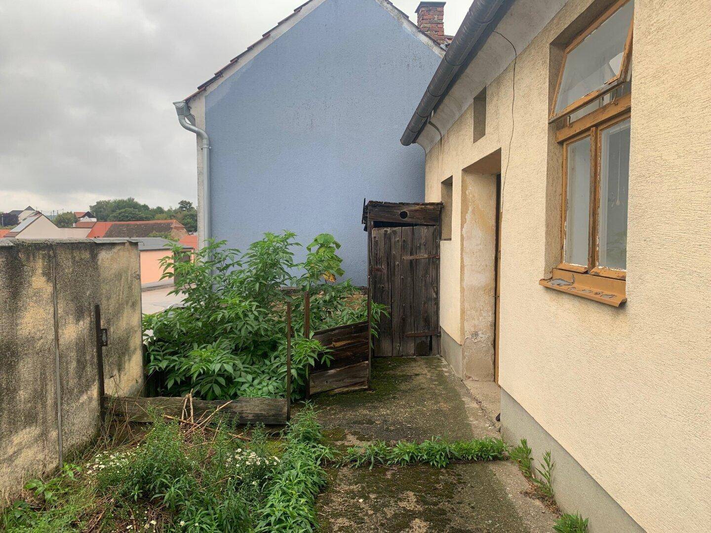Kleiner, verwilderter Bereich neben dem Haus mit alter Holztür und viel Grünbewuchs unter bewölktem Himmel.