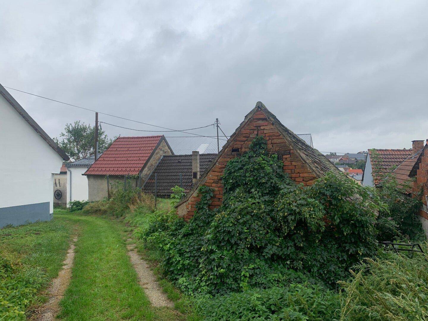 Schmaler Feldweg zwischen alten Gebäuden und üppiger Vegetation unter bewölktem Himmel in ländlicher Umgebung.