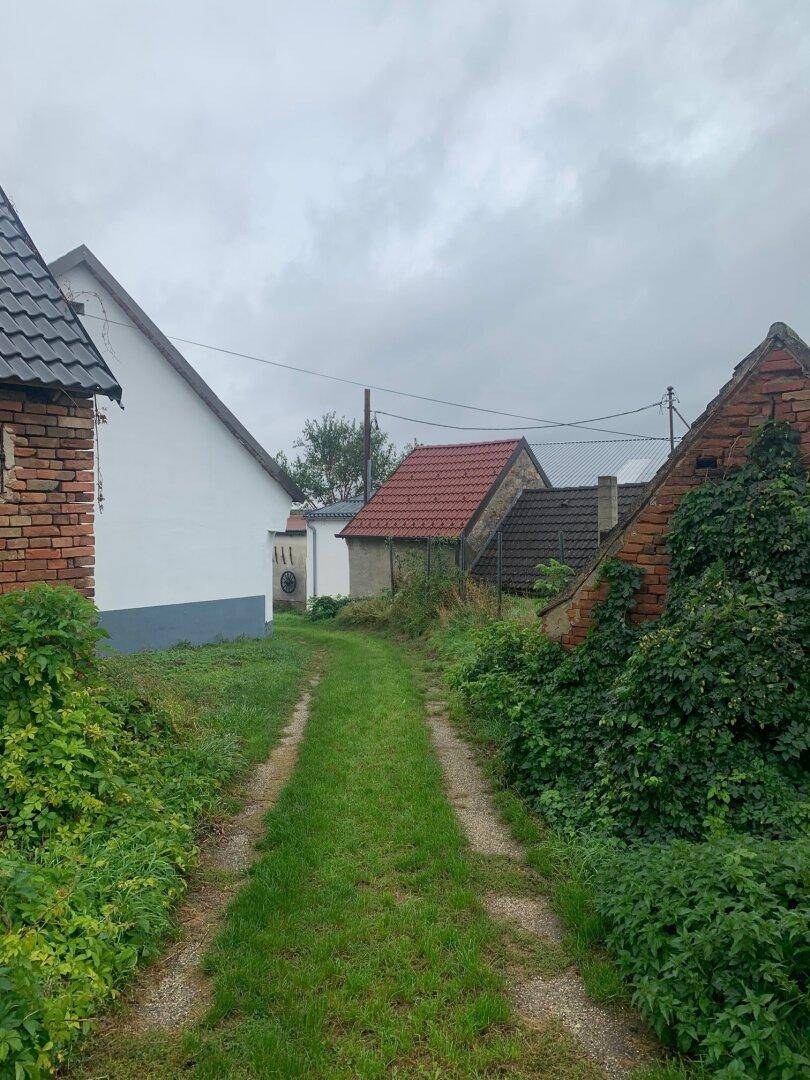 Schmaler Feldweg führt zwischen alten Gebäuden und üppiger Vegetation hindurch unter bewölktem Himmel.