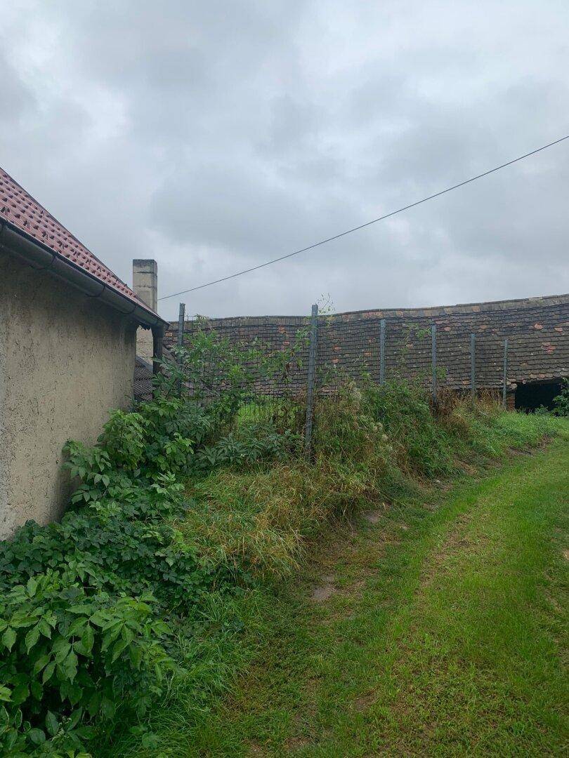Schmaler Feldweg führt an einem alten Gebäude vorbei, umgeben von dichter, grüner Vegetation unter bewölktem Himmel.