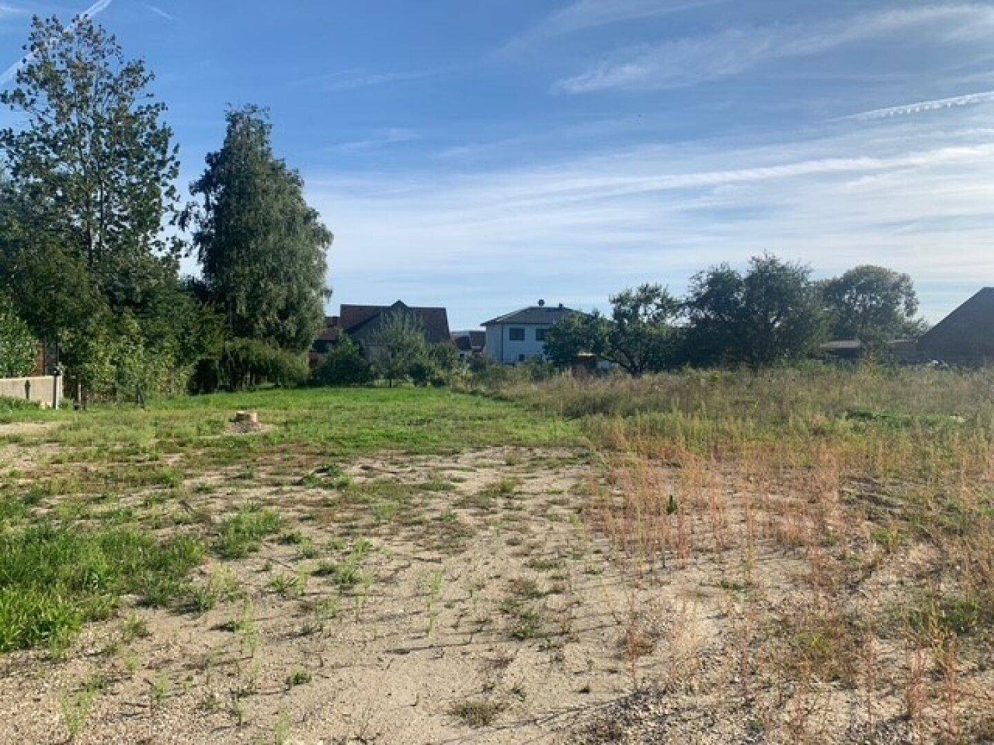 Unbebautes Grundstück mit Gras und Erde, umgeben von Bäumen und Häusern in der Ferne unter blauem Himmel.