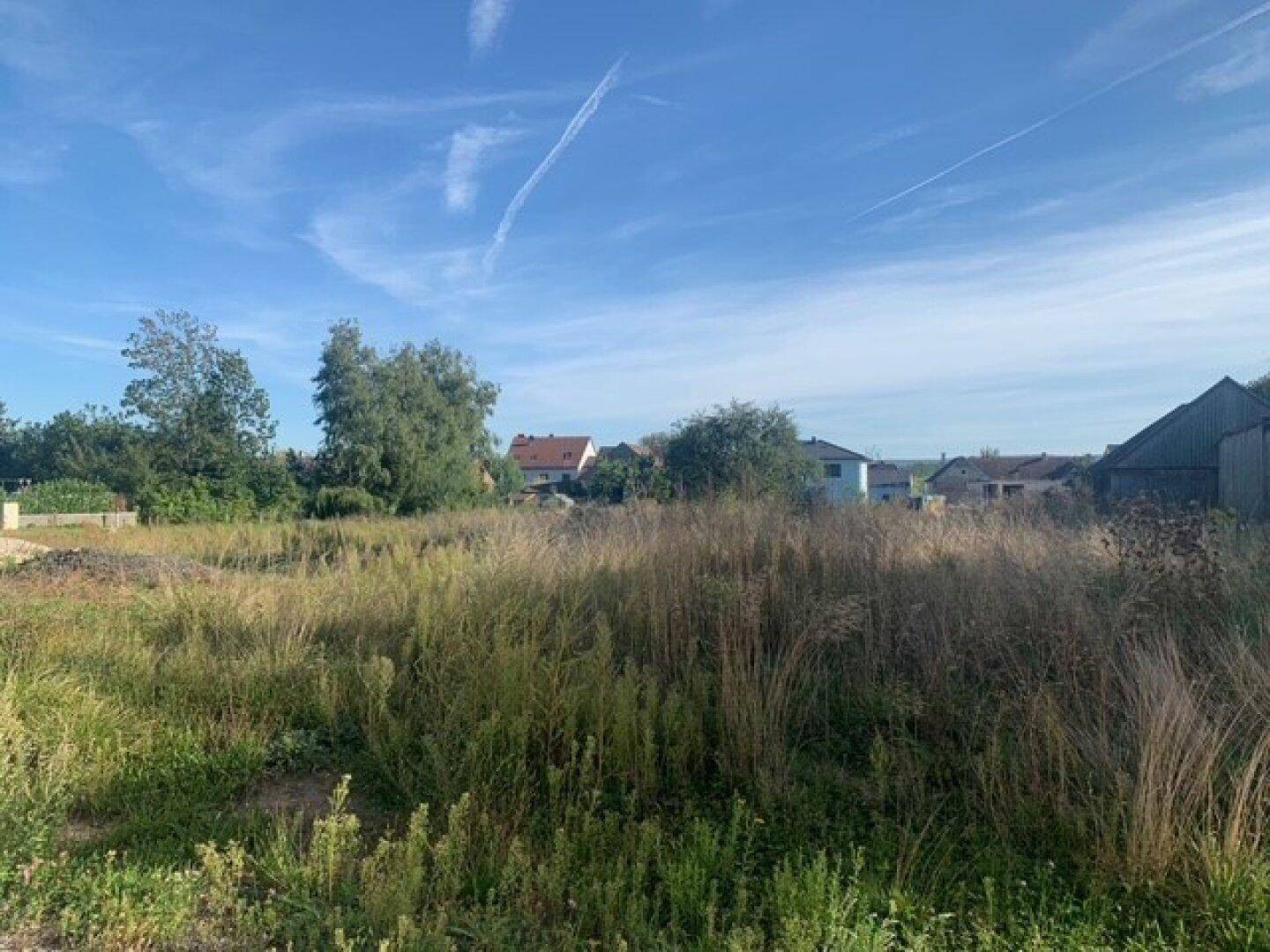 Weitläufiges unbebautes Grundstück mit hohem Gras und Blick auf die umliegende Bebauung unter blauem Himmel.