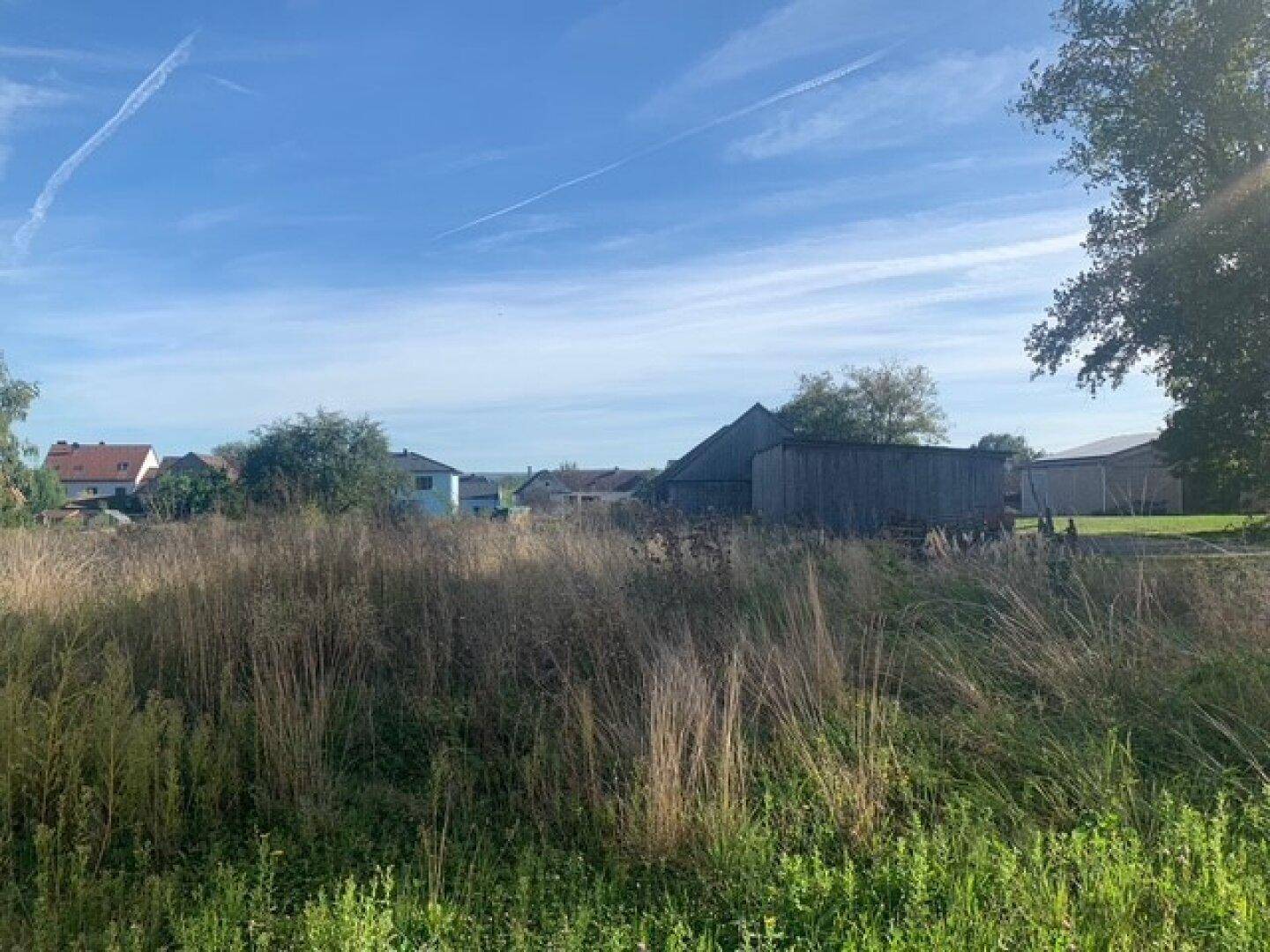 Weitläufiges unbebautes Grundstück mit hohem Gras und Blick auf die umliegende Bebauung unter blauem Himmel.