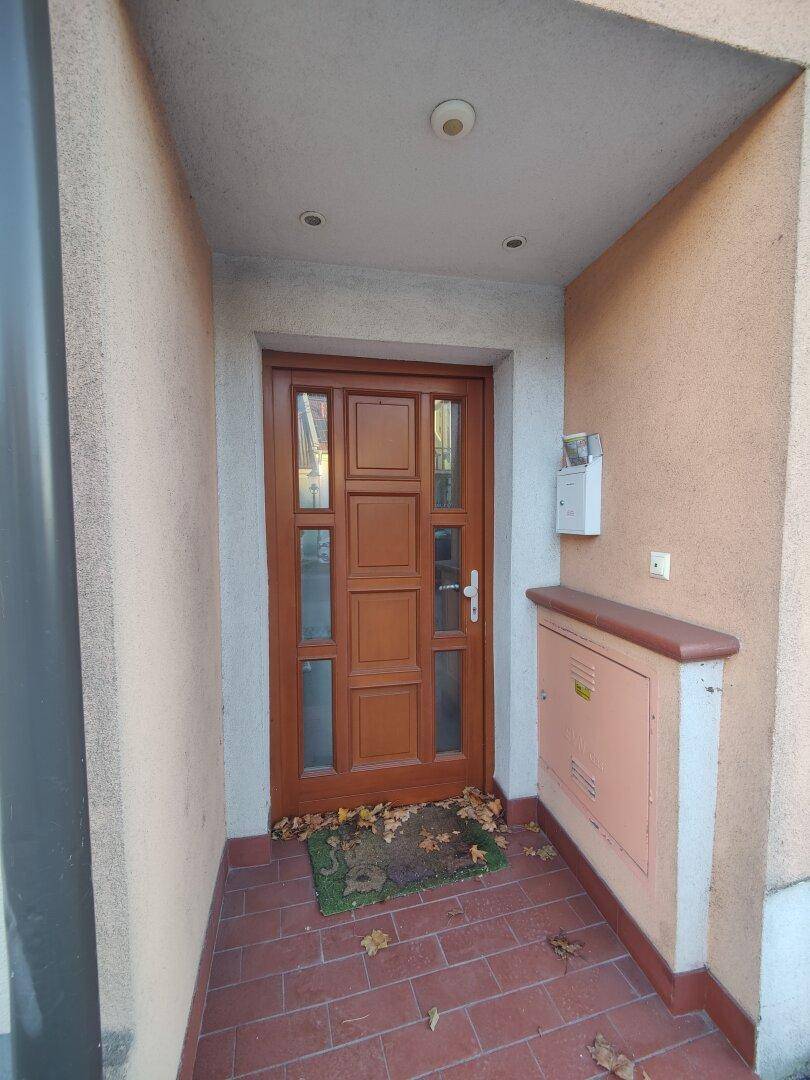 Eingangsbereich mit Holztür, überdachtem Vorbau und gepflastertem Boden.