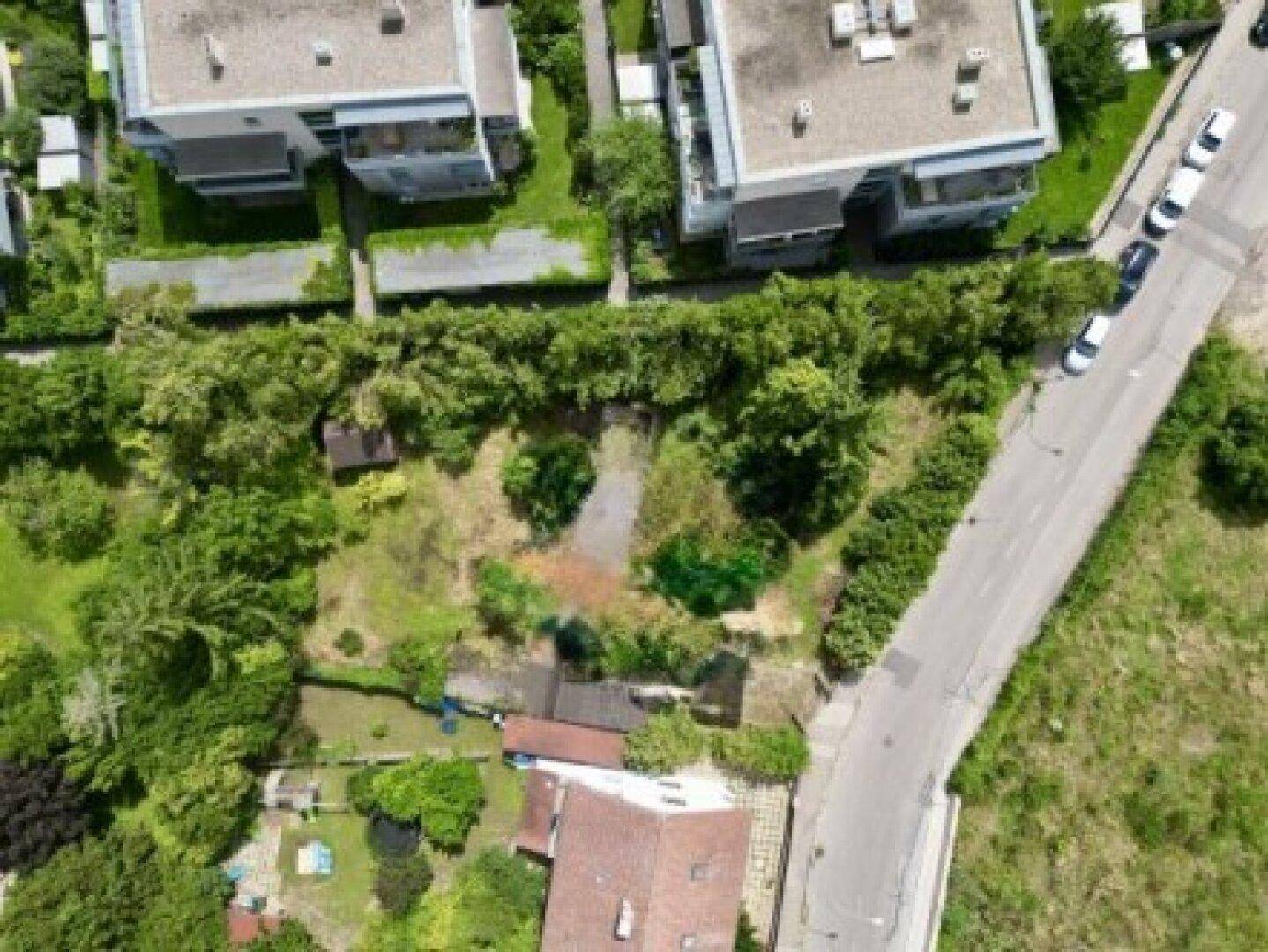 Luftaufnahme eines großen, grünen Grundstücks mit Hecken und Bäumen, angrenzend an eine Straße.