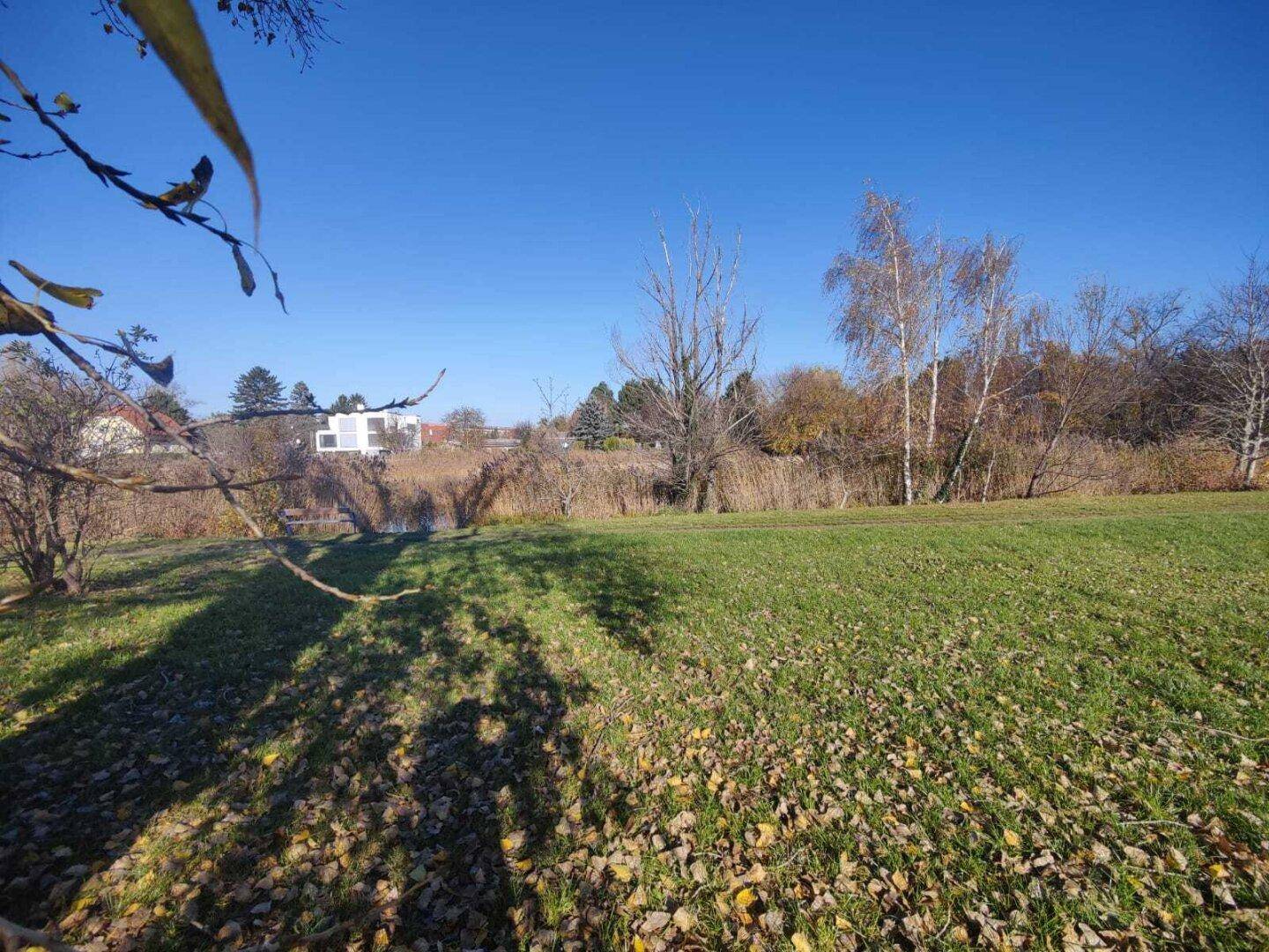 Weitläufige grüne Wiese mit Bäumen und Blick auf entfernte Häuser unter blauem Himmel.