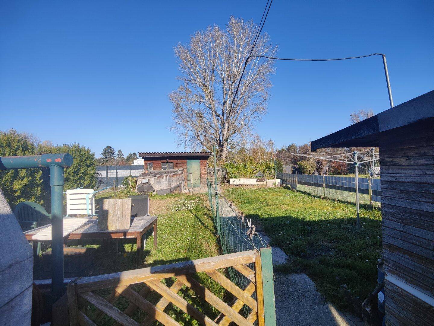 Weitläufiger Gartenbereich mit Rasen, einem großen Baum und einem Schuppen an einem sonnigen Tag.