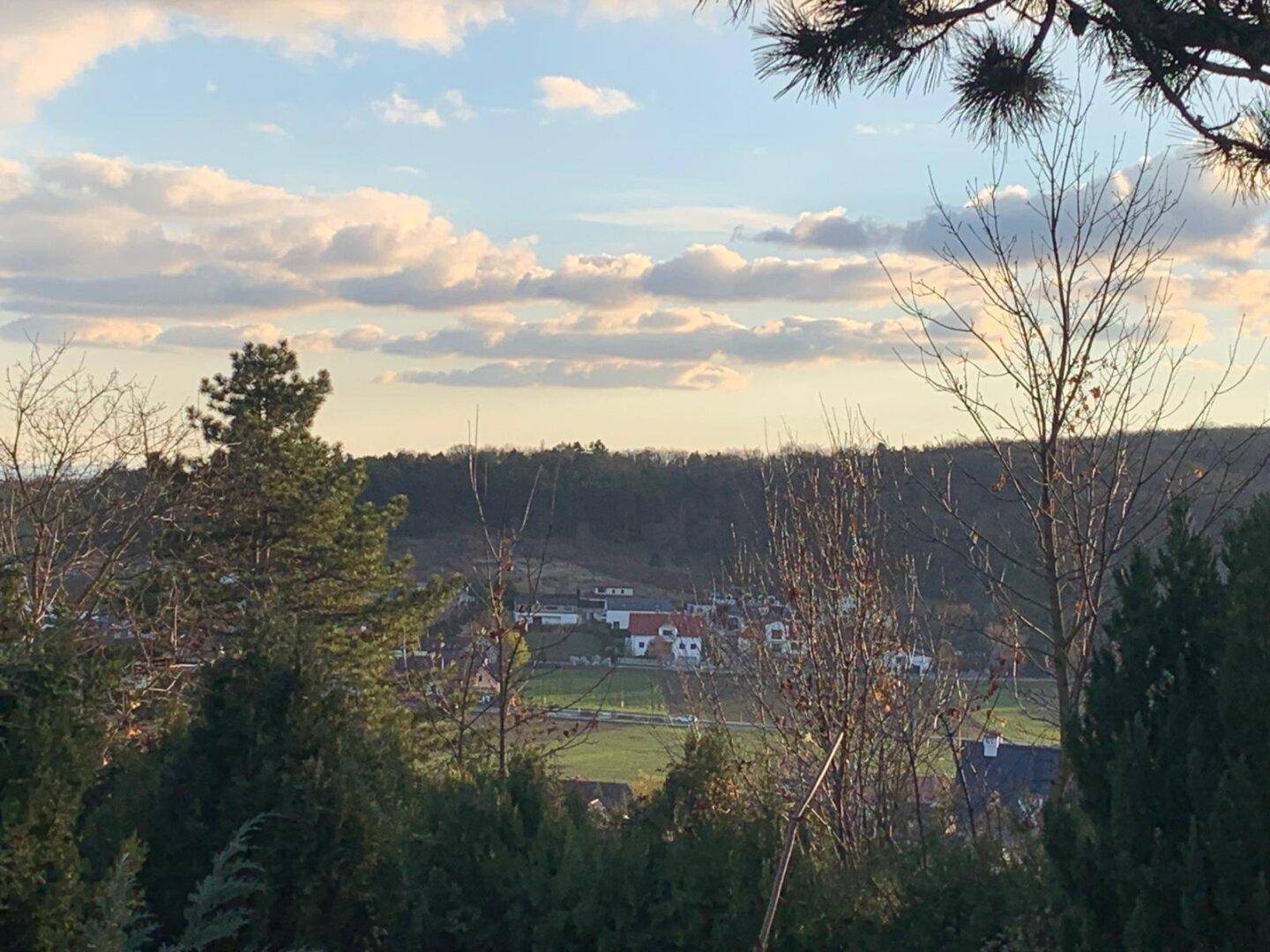 Panoramablick über eine bewaldete Hügellandschaft mit vereinzelten Häusern unter bewölktem Himmel.