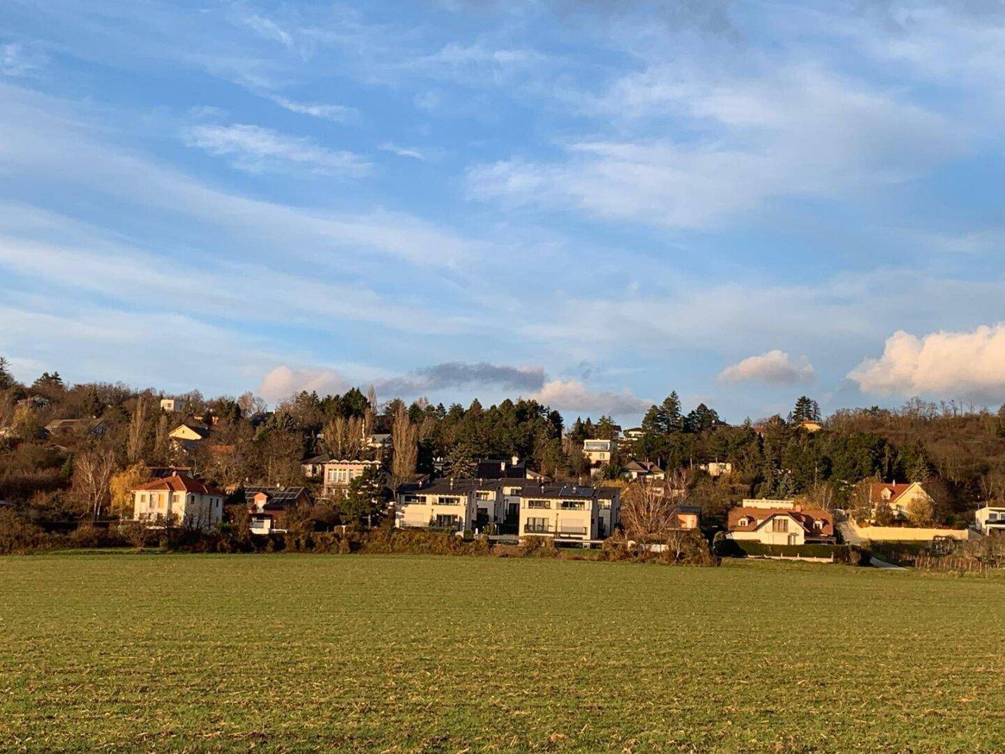 Weitläufige Landschaft mit einem Feld im Vordergrund und einer Siedlung am bewaldeten Hang.