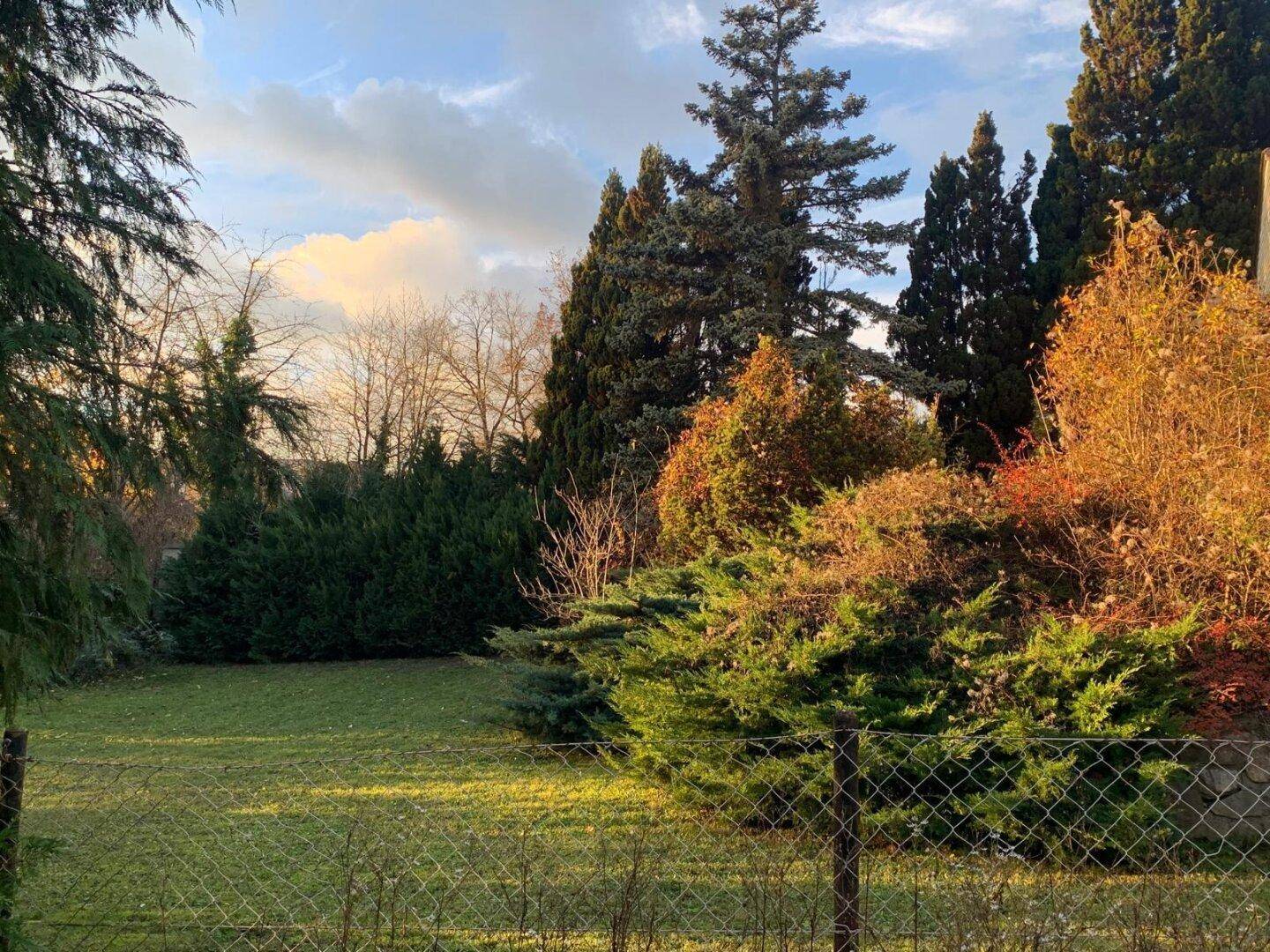 Top! Traumhaftes Grundstück am Veiglberg mit Bestandsgebäude! Natur, Ruhe und Potenzial in bester Lage! - Ansicht 5