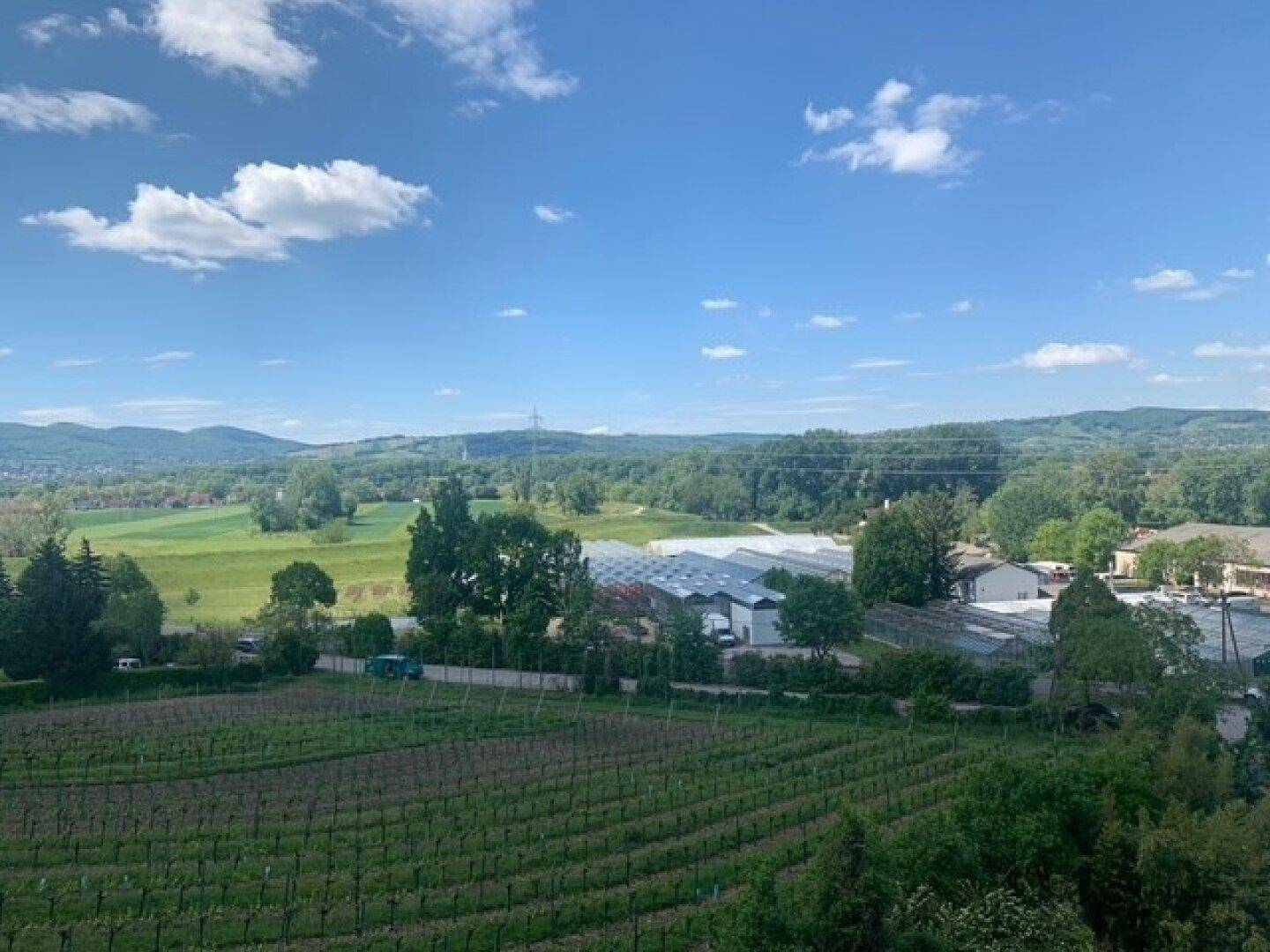 Weitläufiger Ausblick über Weinberge, Felder und eine ländliche Umgebung an einem sonnigen Tag.
