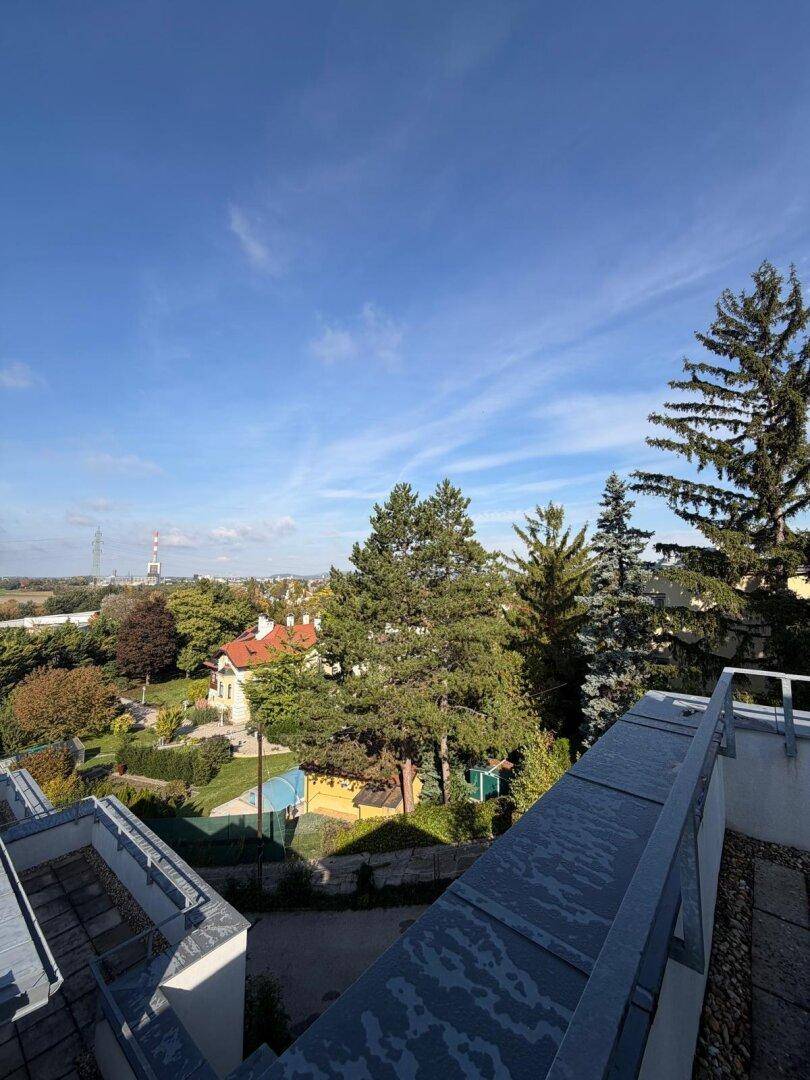 Panoramablick von oben auf eine grüne Wohngegend mit Bäumen und entfernten Gebäuden.