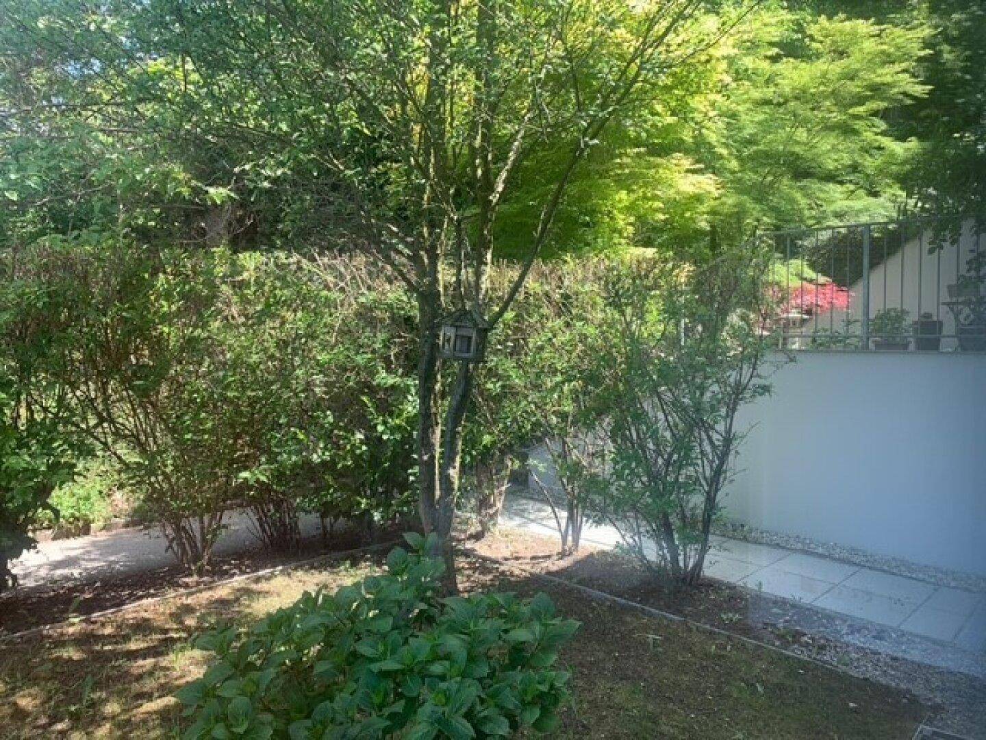 Gepflegter Gartenbereich mit einem Baum, Büschen und einem Vogelhaus, bietet eine ruhige Atmosphäre.