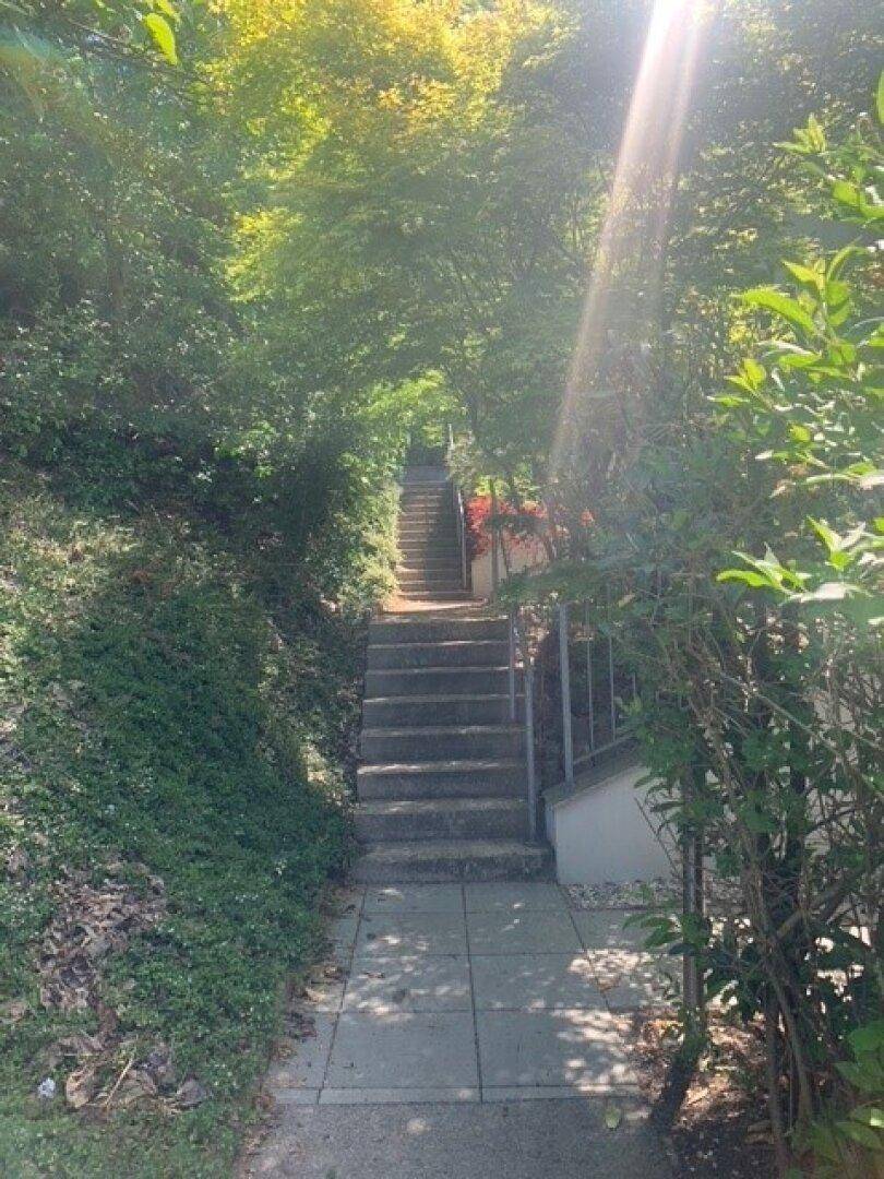Steintreppe führt bergauf durch dichtes Grün, mit Sonnenlicht, das durch die Baumkronen fällt.