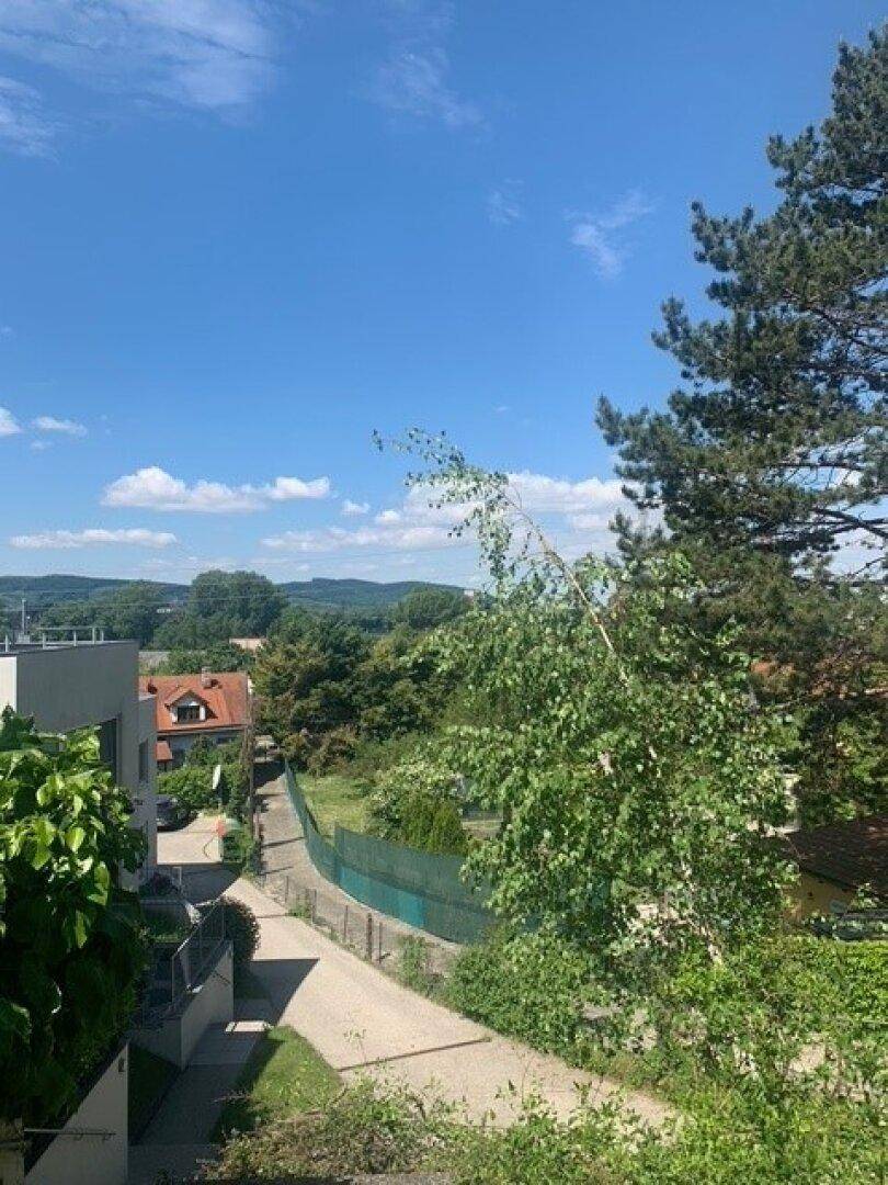 Blick von oben auf eine ruhige Wohnstraße, umgeben von Bäumen und grüner Natur.