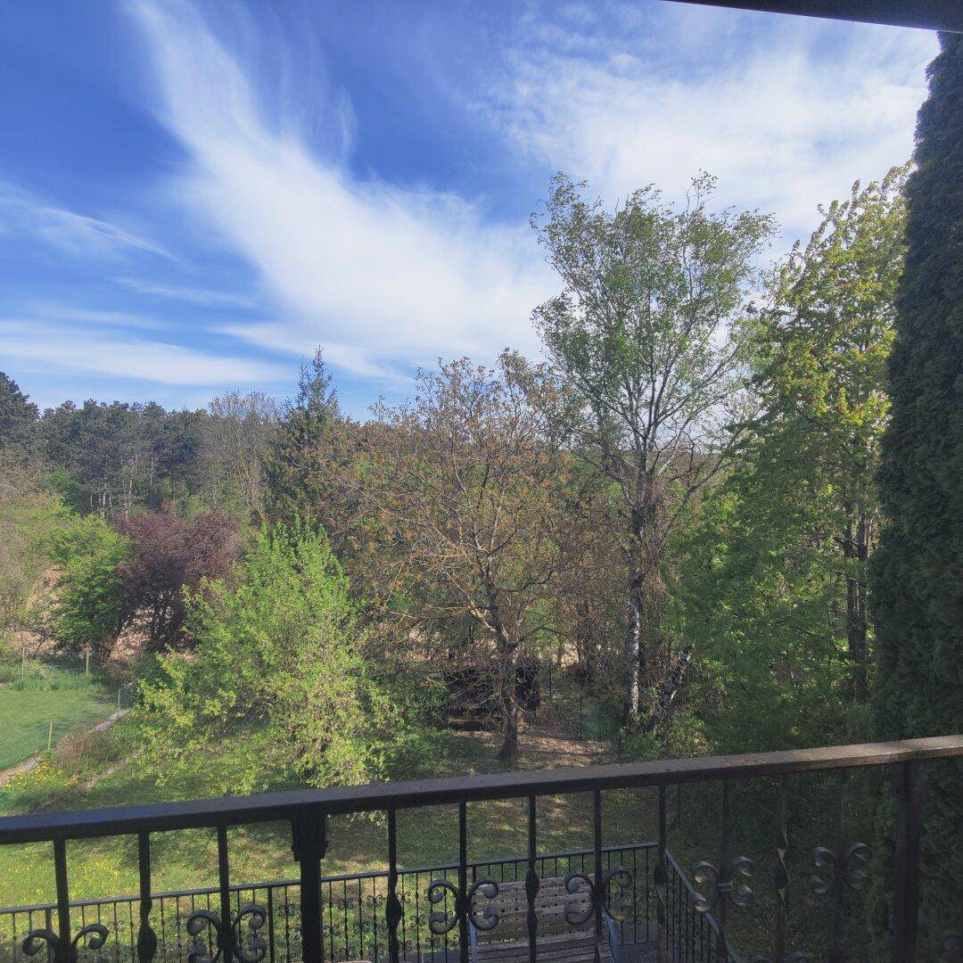 Aussicht von einem Balkon auf eine grüne Baumlandschaft unter einem weiten blauen Himmel.