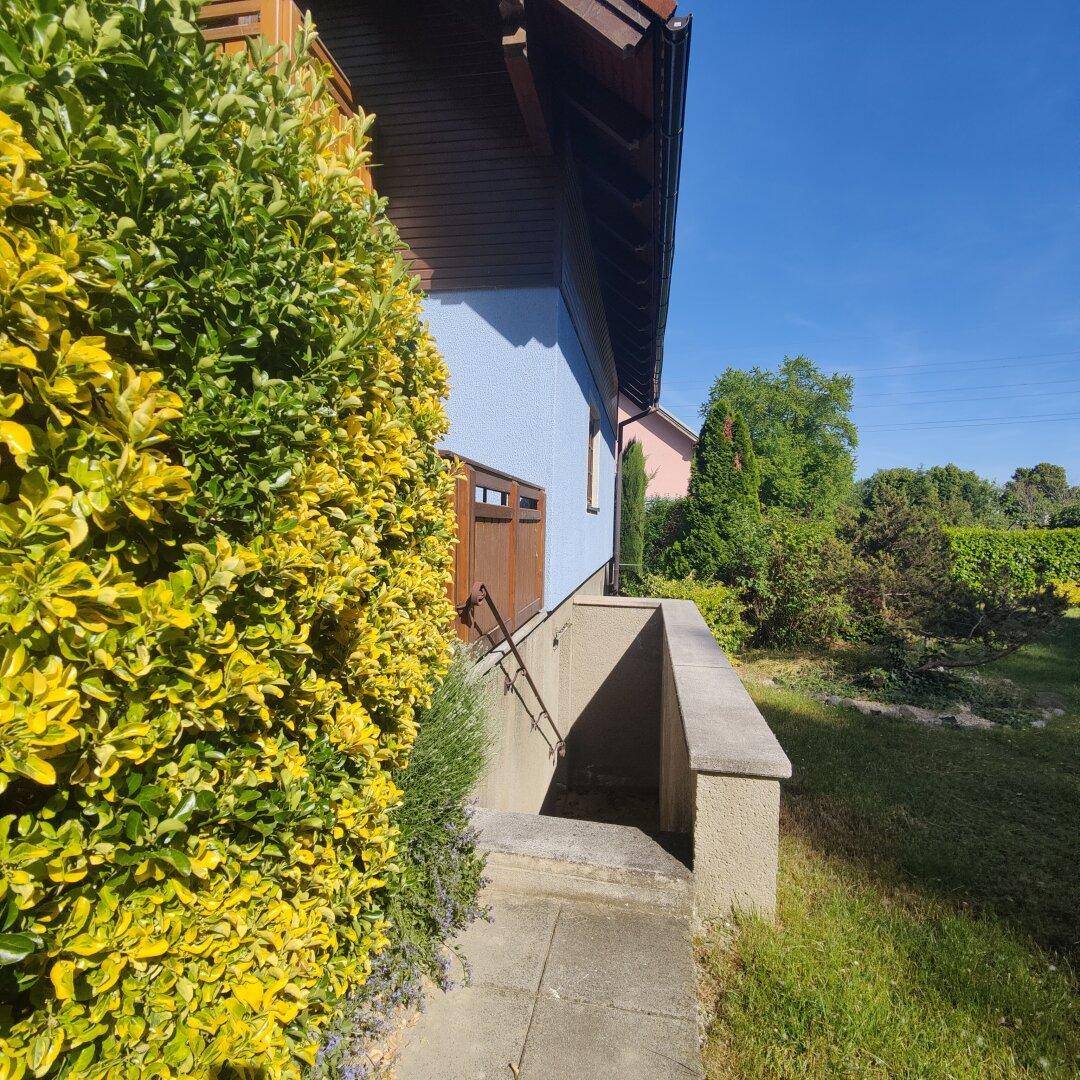 Seitenansicht des Hauses mit Treppe zum Kellerabgang, umgeben von dichten Hecken.