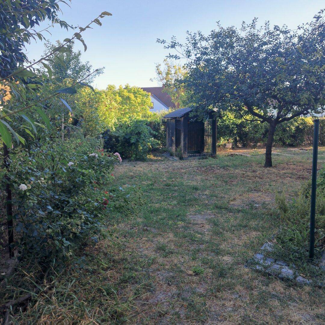 Großer, naturbelassener Garten mit Rasenfläche, Bäumen und einem kleinen Holzschuppen.