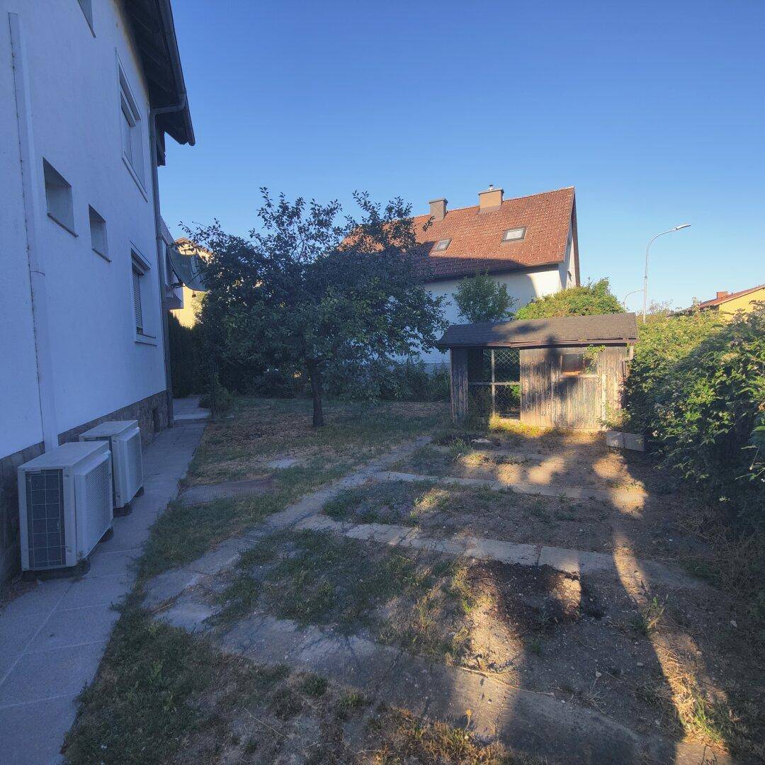 Hinterhofgarten mit Rasenfläche, Bäumen und einem kleinen Holzschuppen, neben dem Haus.