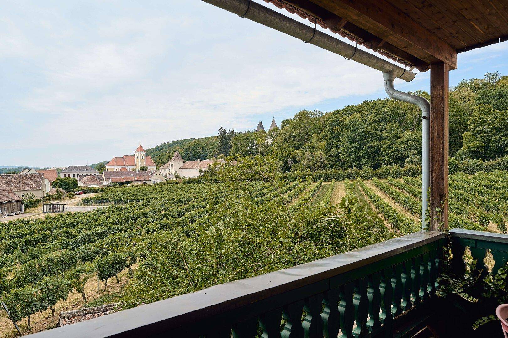 Malerischer Blick von einem Balkon auf Weinberge, ein Dorf und bewaldete Hügel.