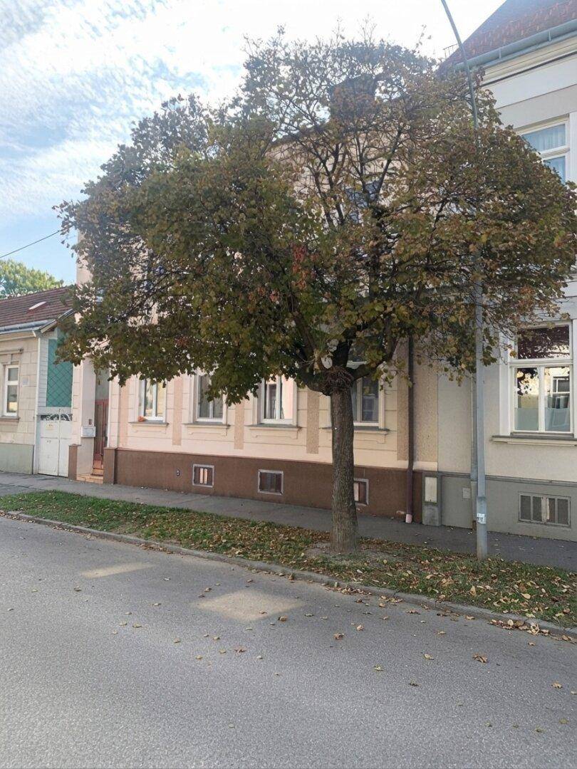 Großer Baum mit Herbstlaub vor der Fassade eines älteren Wohngebäudes an der Straße.