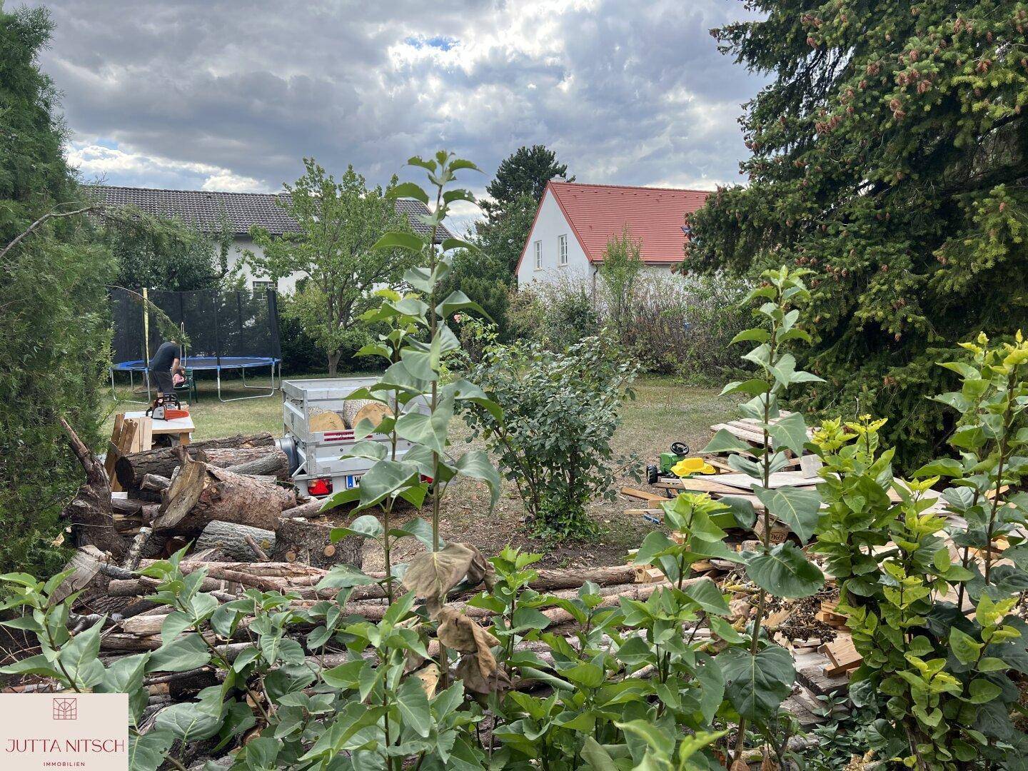 Gartenansicht mit Holzstapeln im Vordergrund und einem Trampolin im Hintergrund.