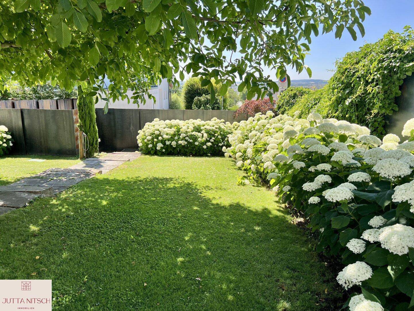 Gepflegte Rasenfläche im Garten, umgeben von üppigen weißen Hortensien und Bäumen.