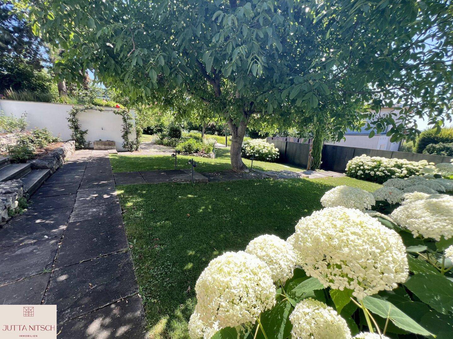 Gartenweg mit Rasen, schattenspendenden Bäumen und blühenden weißen Hortensien an einem sonnigen Tag.