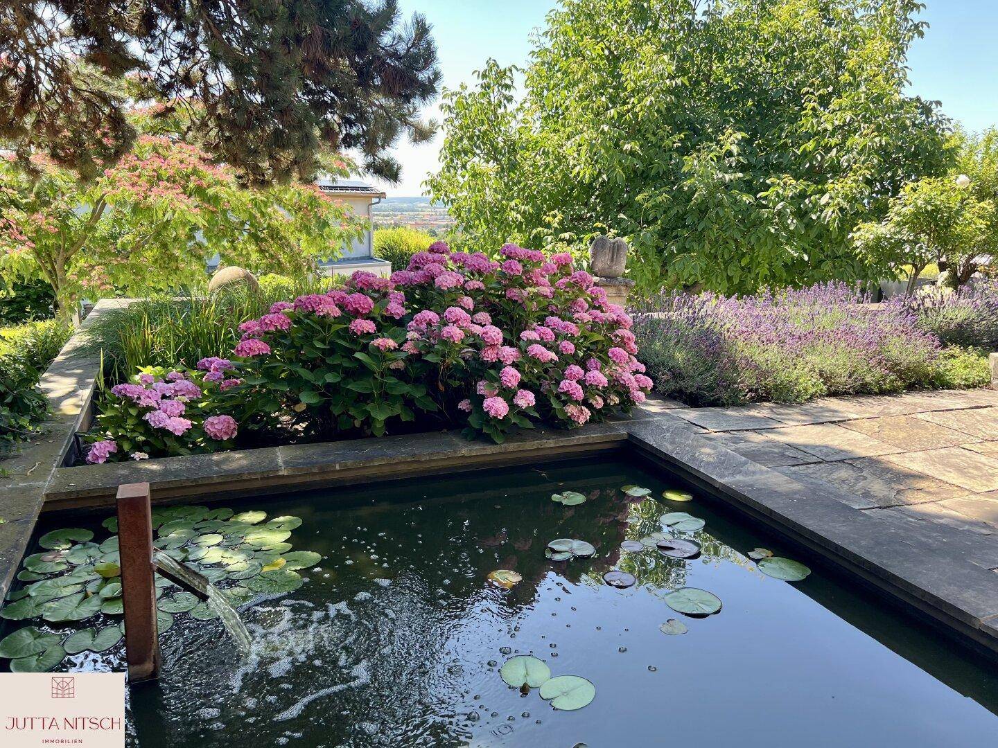 Gartenteich mit Seerosen, umgeben von pinken Hortensien und duftendem Lavendel in voller Blüte.