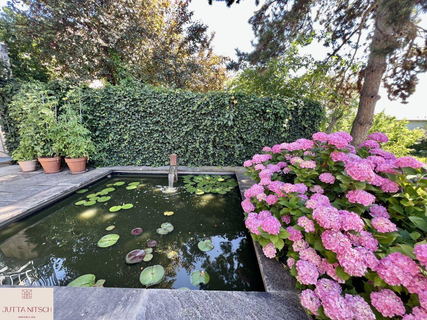 Idyllischer Gartenteich mit Seerosen, umgeben von üppigen pinken Hortensien und einer grünen Hecke.