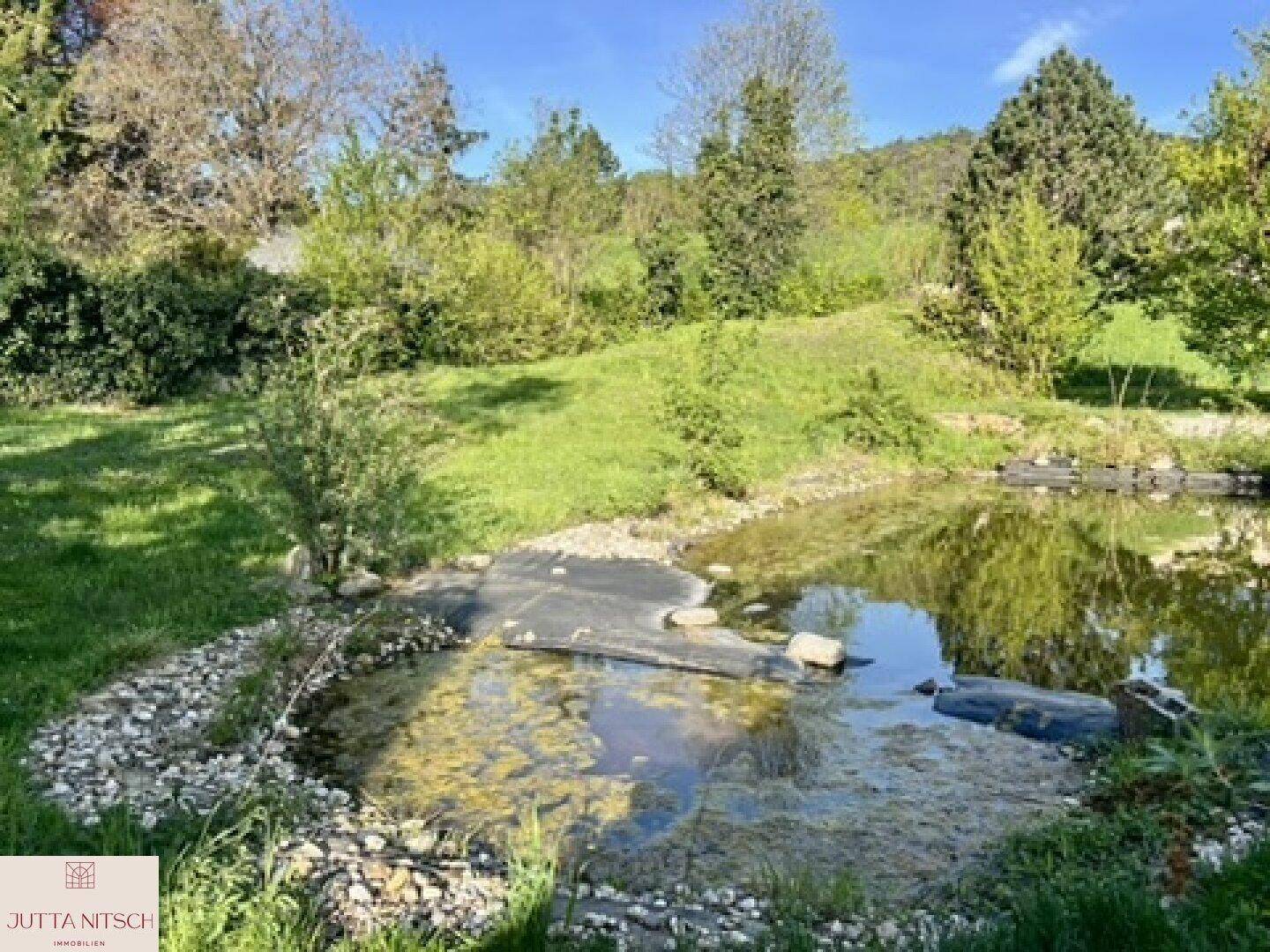 Natürlicher Gartenteich mit üppigem Grün und Bäumen im Hintergrund an einem sonnigen Tag.