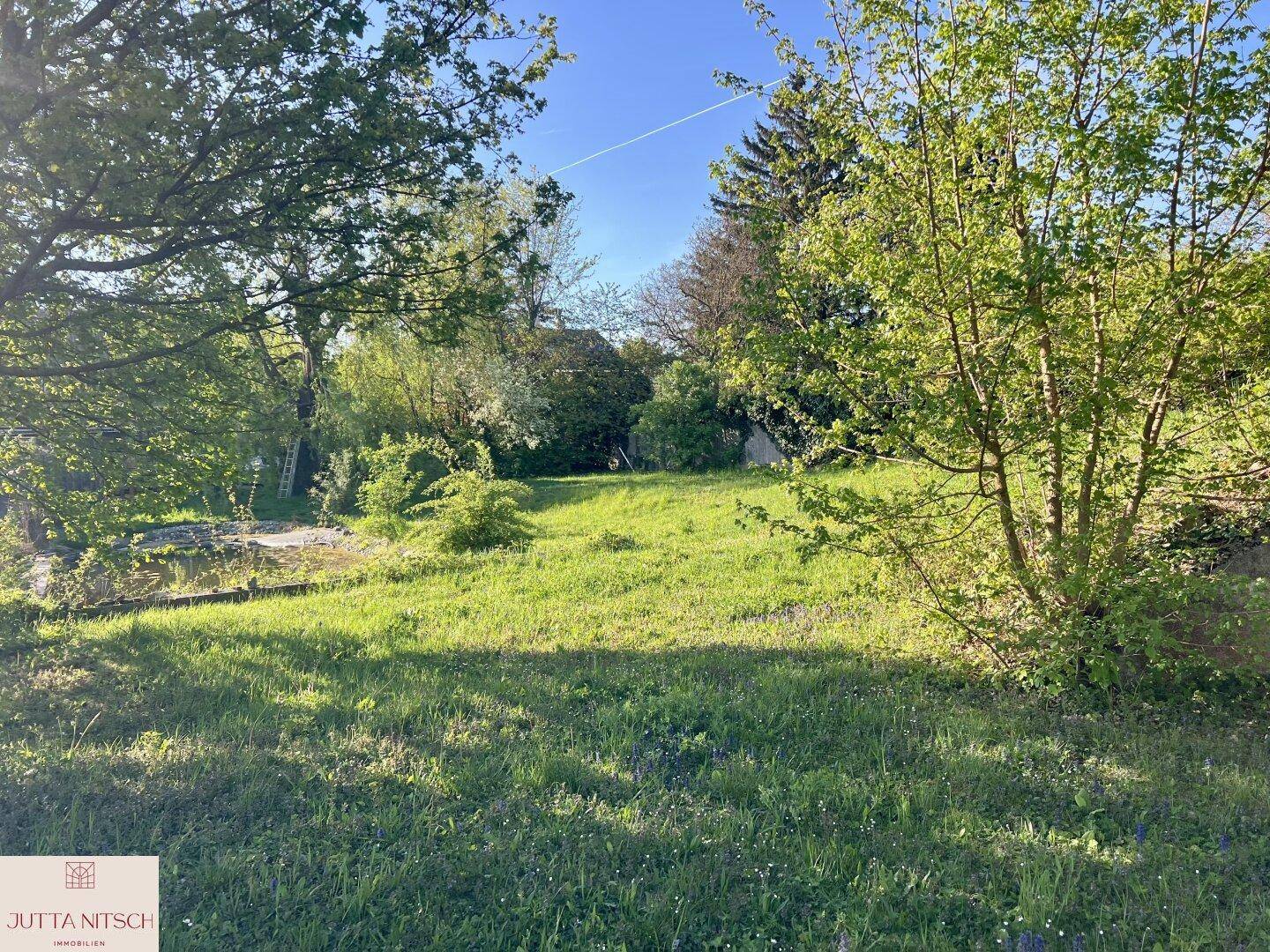 Großer, naturbelassener Garten mit viel Grünfläche und Bäumen unter einem weiten Himmel.