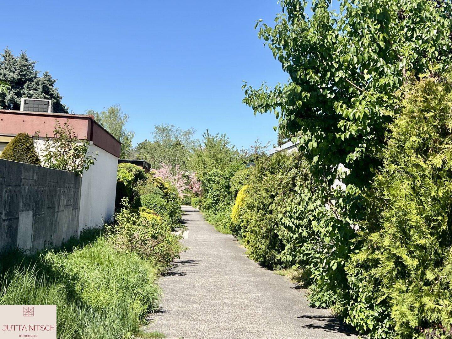 Lichtdurchfluteter Bungalow mit Garten und Garage - Südstadt - Ansicht 4
