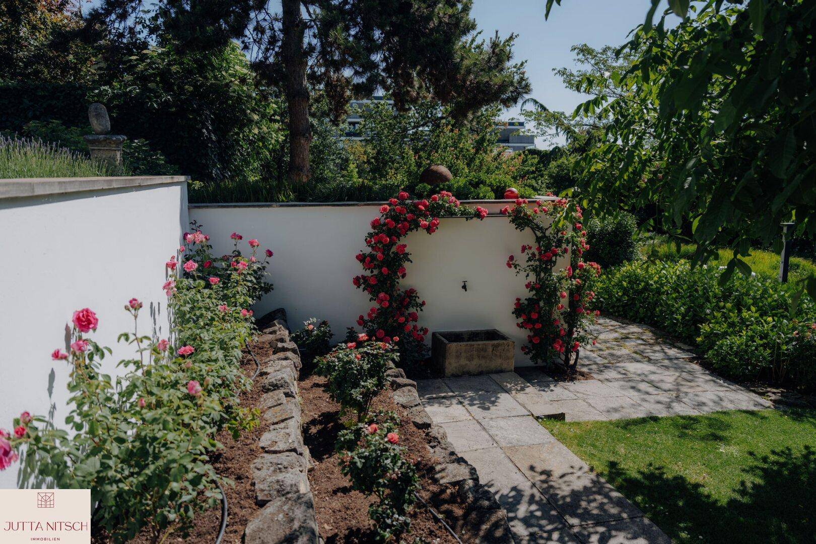 Gartenweg mit blühenden Kletterrosen an einer weißen Mauer und weiteren Pflanzen.