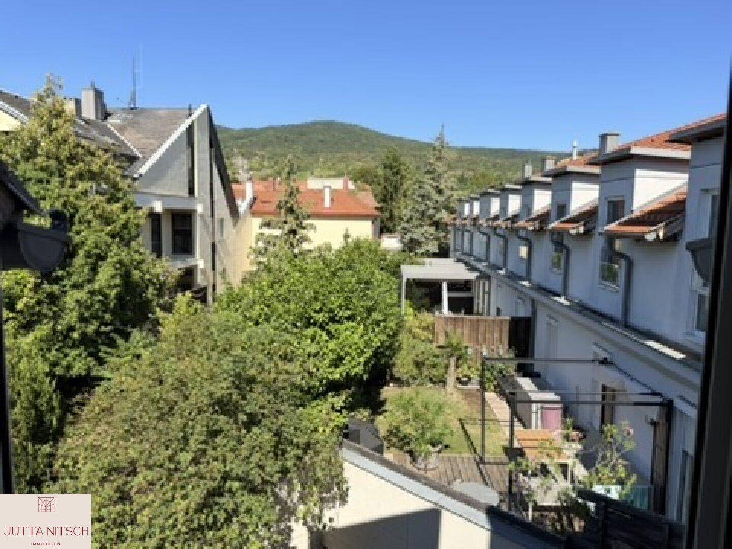 Weitblick über die Nachbarschaft mit Dächern, viel Grün und einem Berg im Hintergrund.