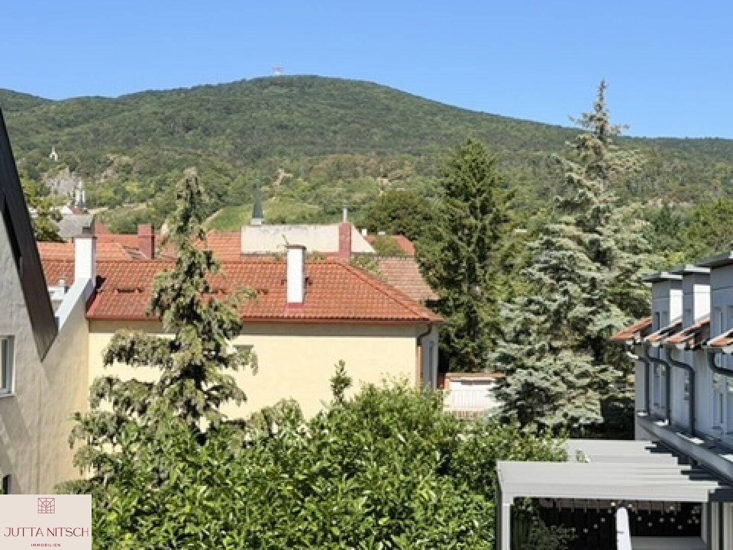 Panoramablick über Dächer und grüne Bäume auf eine bewaldete Berglandschaft.