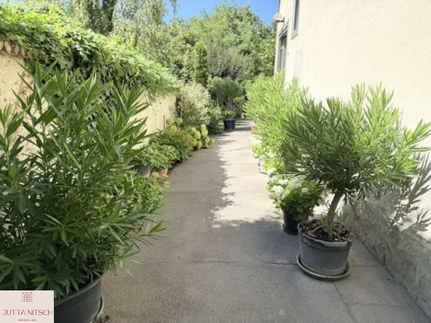 Langer, schmaler Weg entlang der Hauswand, umgeben von üppigen Topfpflanzen und einer grünen Hecke.