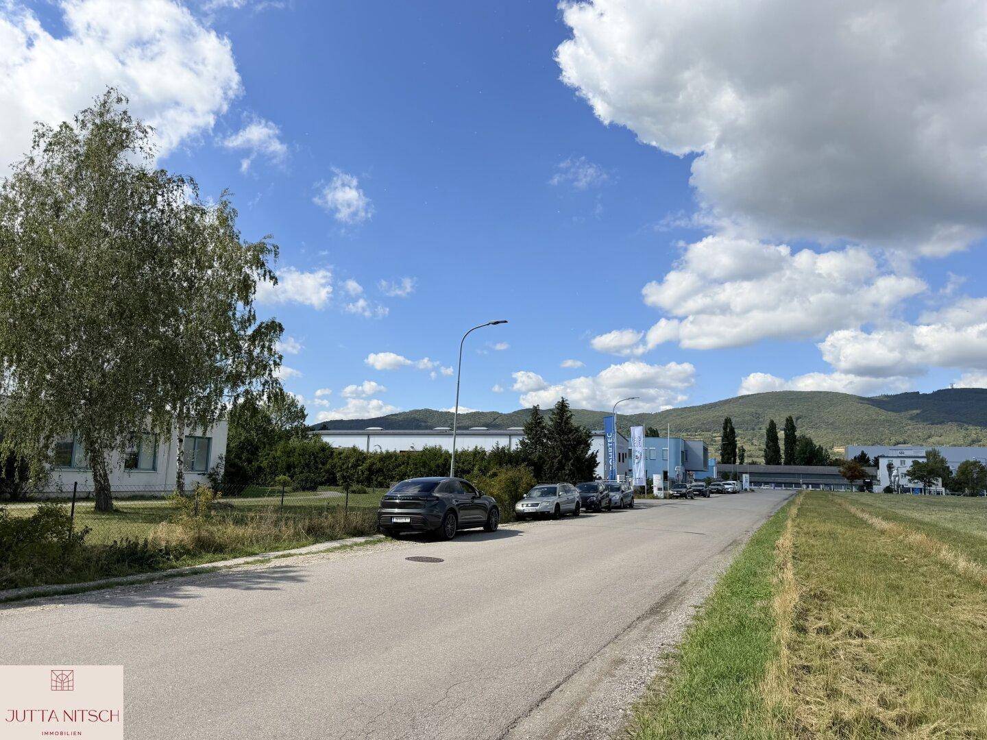 Straße mit parkenden Autos, Gebäuden und einem See oder Fluss in der Ferne unter einem bewölkten Himmel.